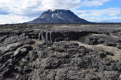 DSC_0064-herdubreid
